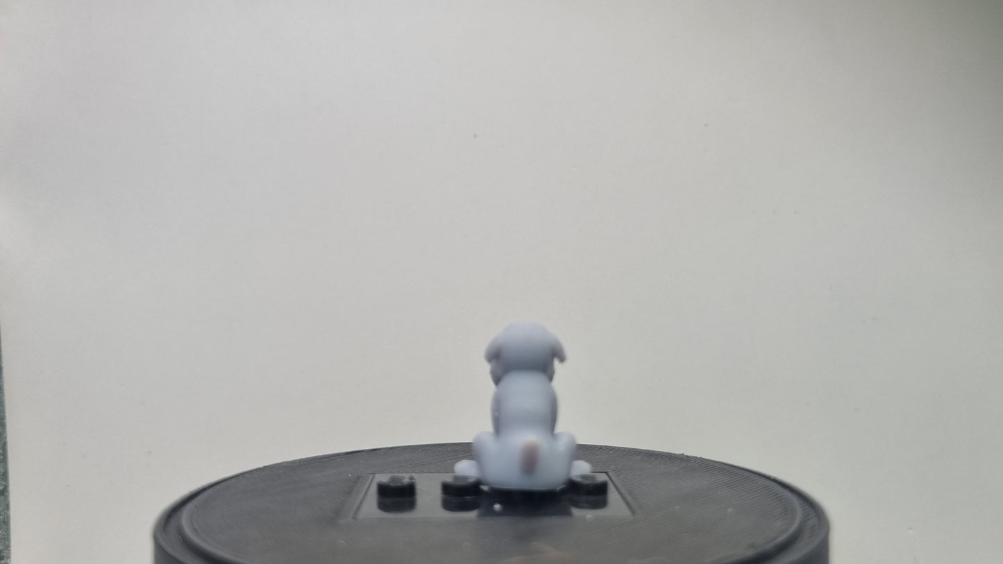Building toy custom 3D printed pirate dog!