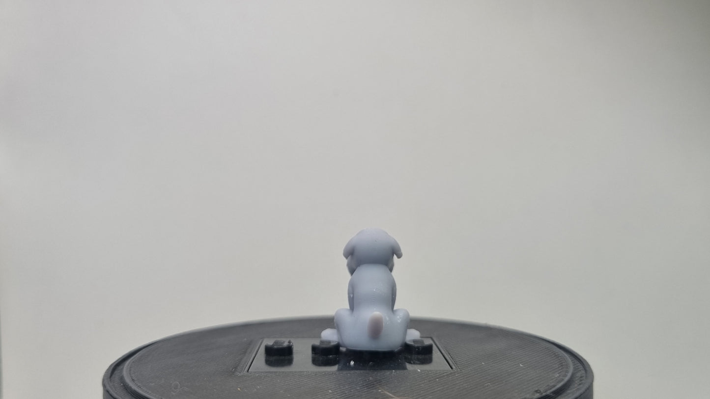 Building toy custom 3D printed pirate dog!