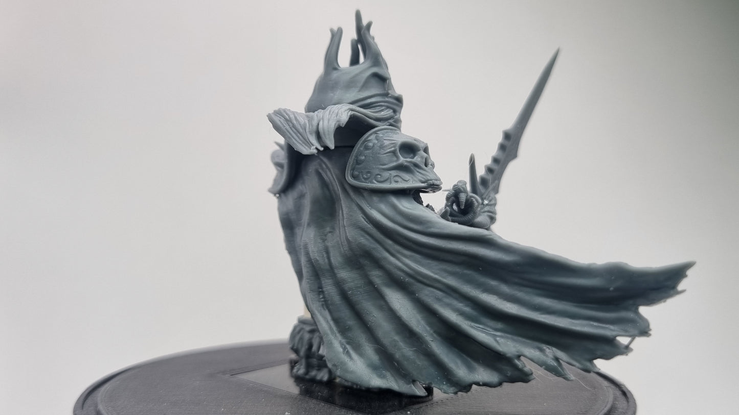 Building toy custom 3D printed winter king! Printed in 12k high resolution resin!