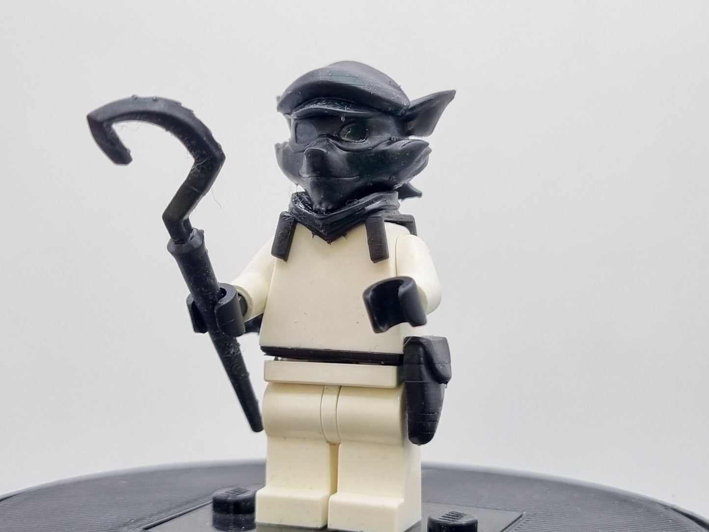 Building toy custom 3D printed raccoon thieve!