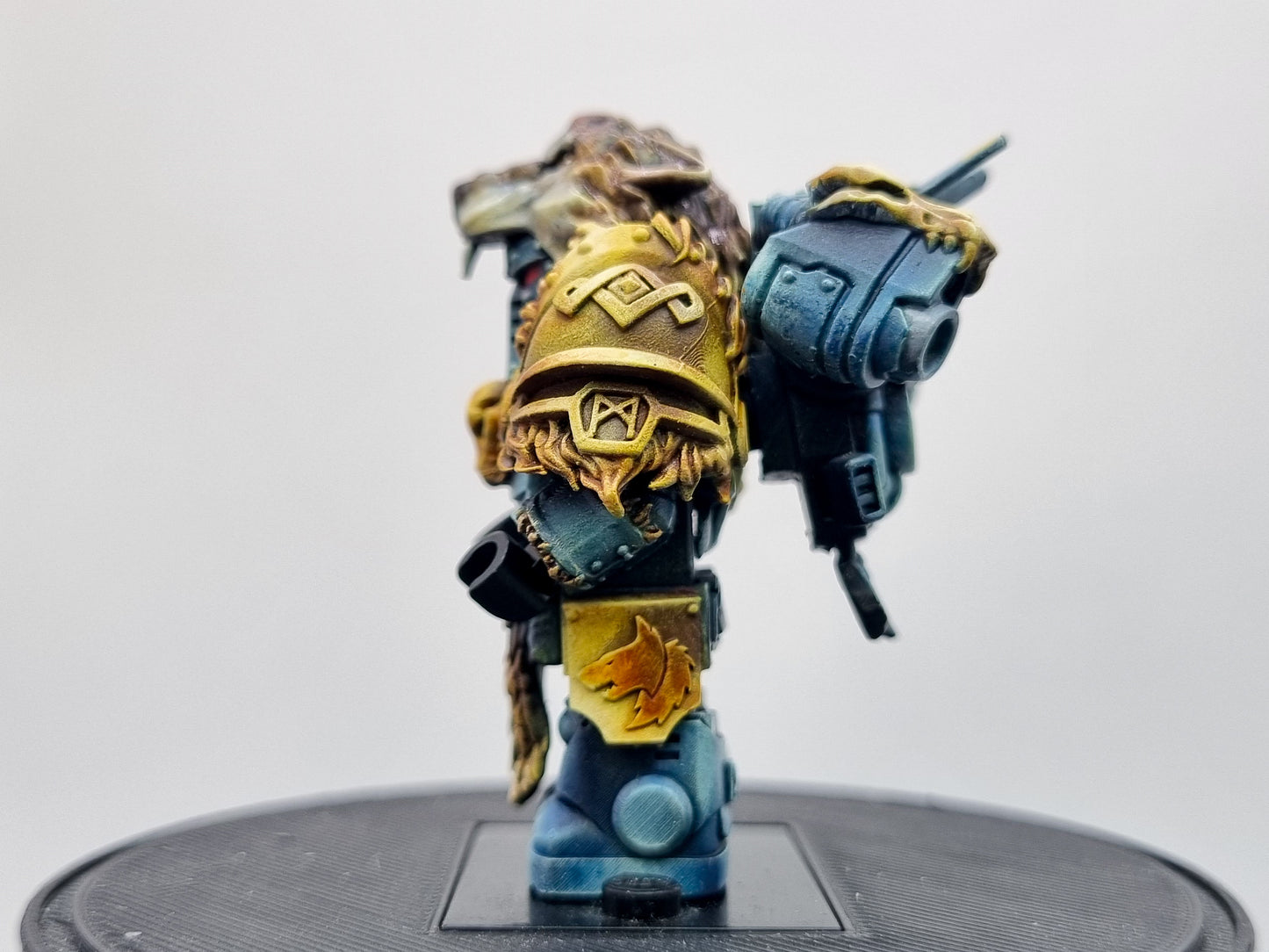 Building toy custom painted wolve galactic marine