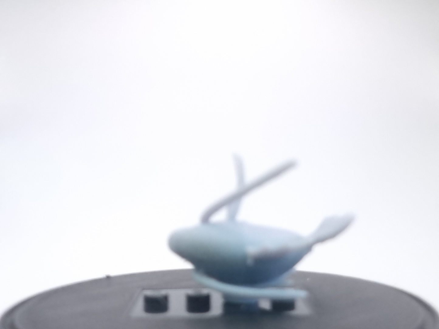 Building toy custom 3D printed fish on land!