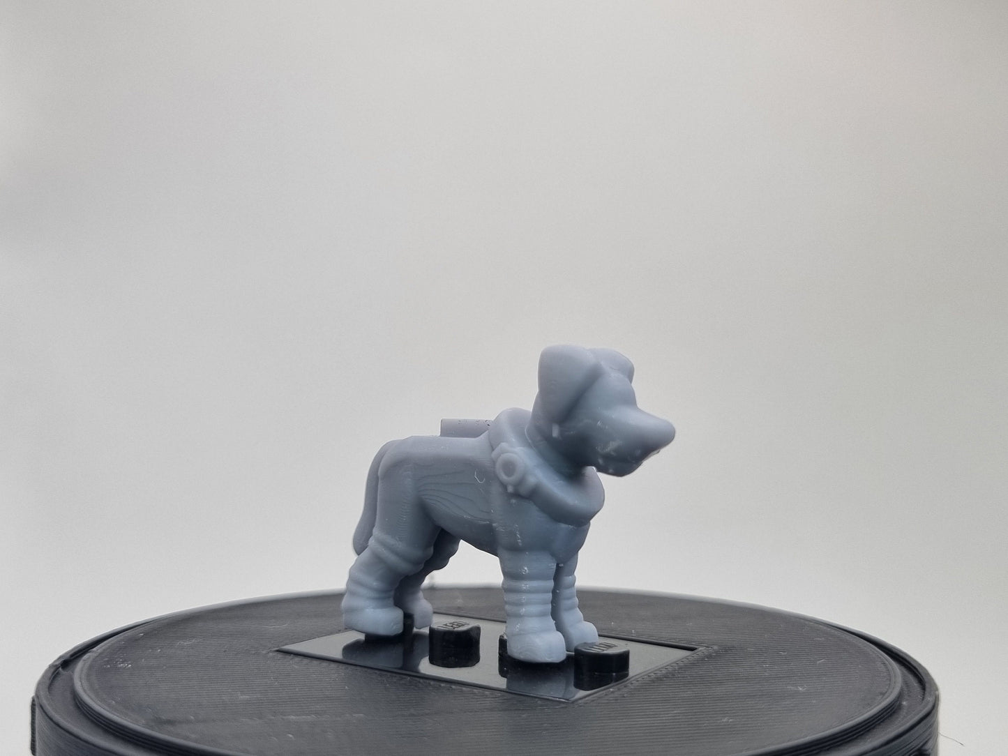 Building toy custom 3D space dog!