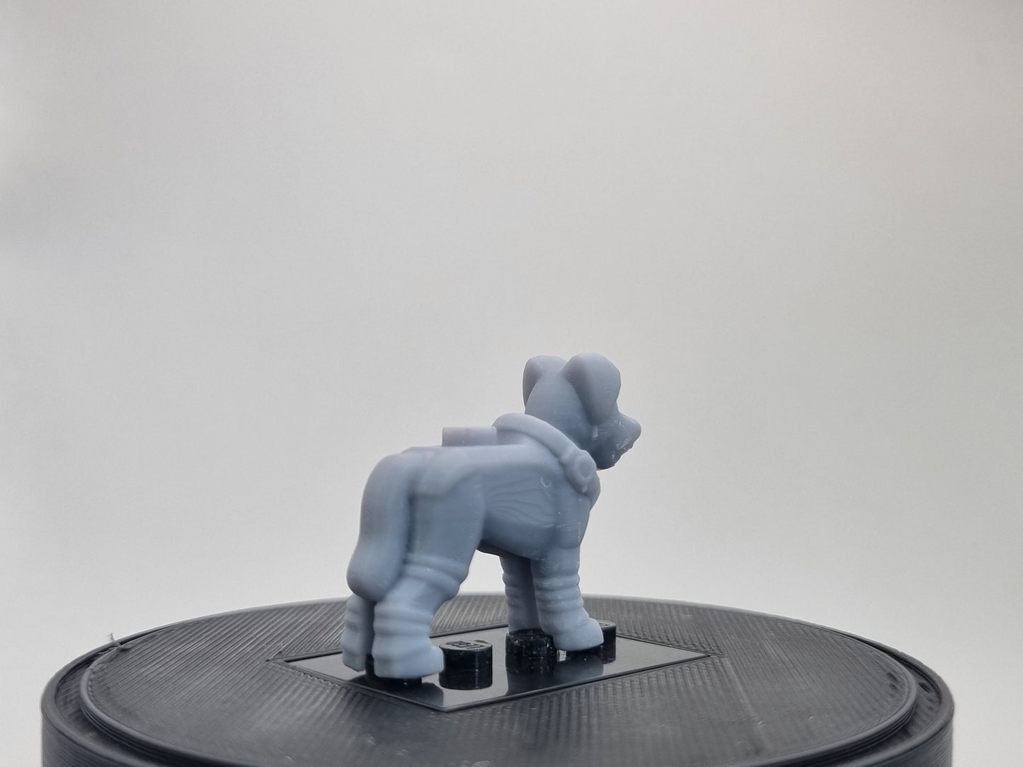 Building toy custom 3D space dog!