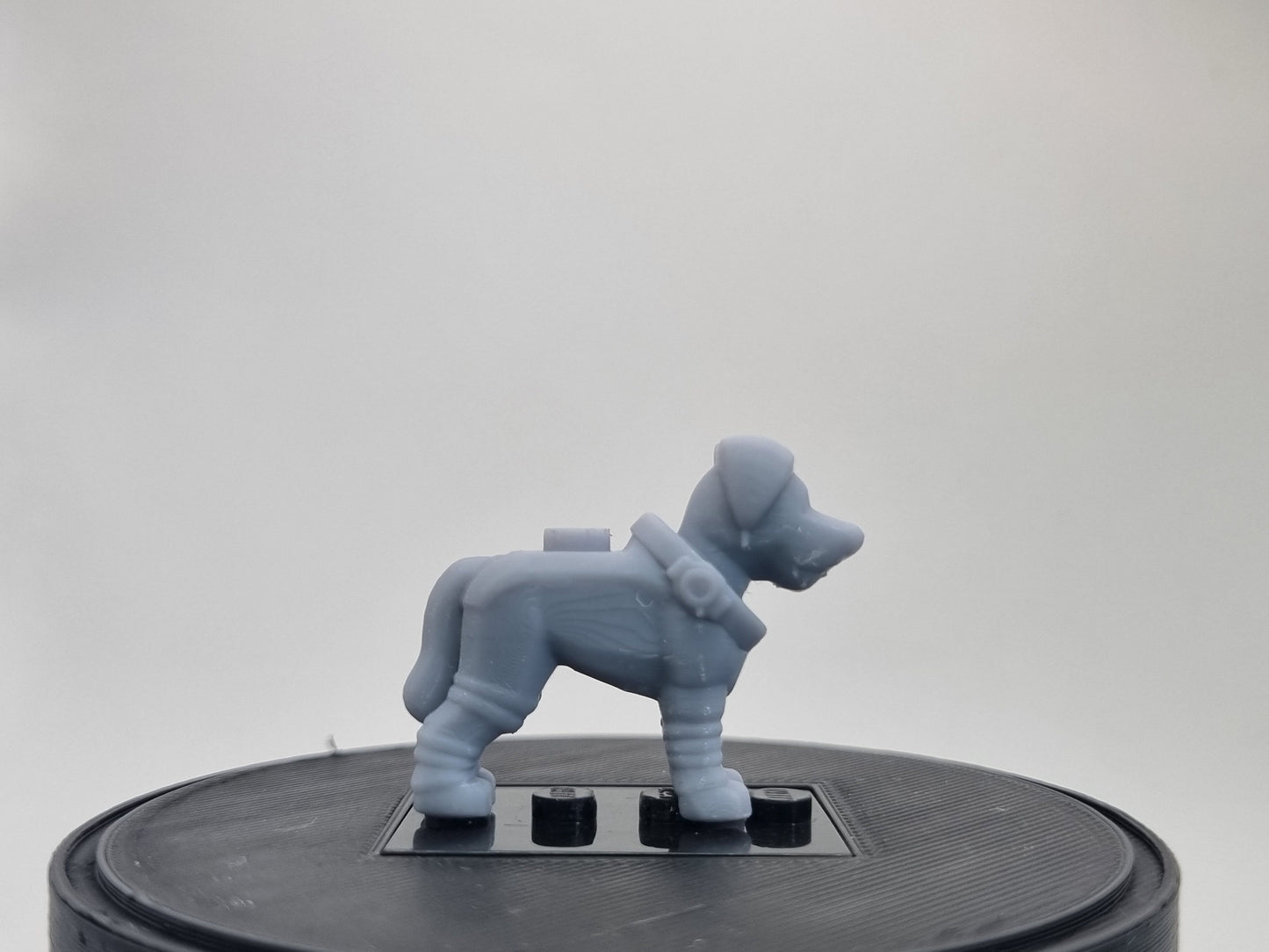Building toy custom 3D space dog!