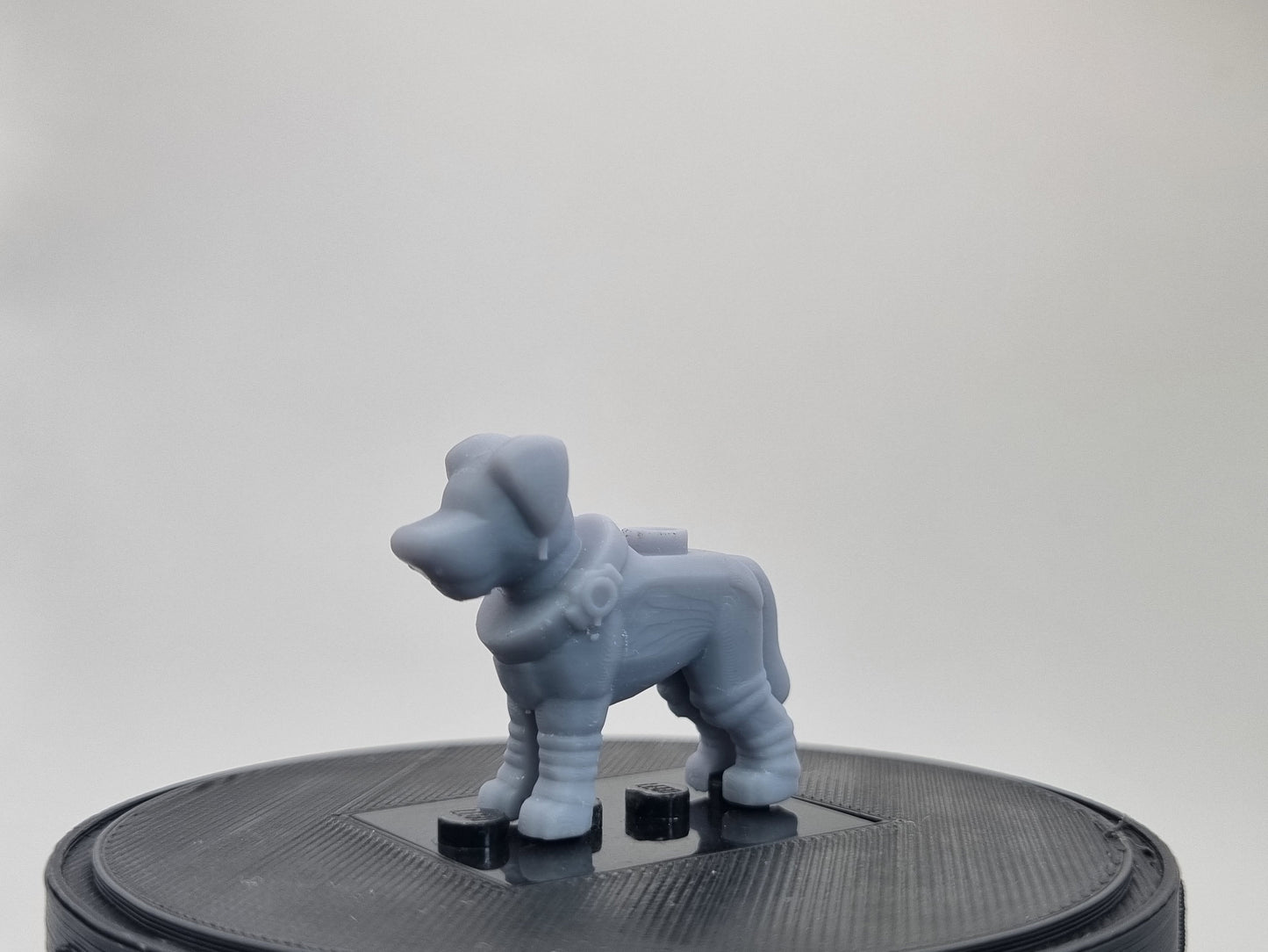 Building toy custom 3D space dog!