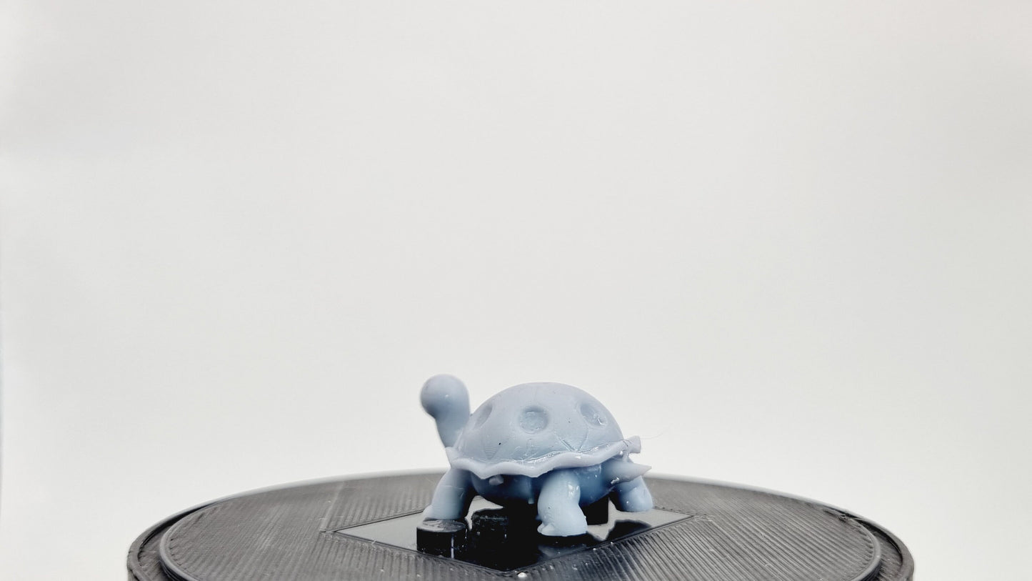 Building toy animal to catch steaming turtle!