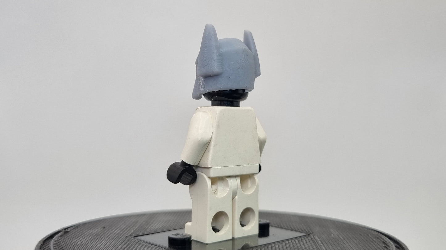 Building toy dog like super hero helmet!