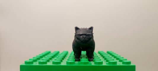 Building toy custom 3D printed wizarding world classic cat!