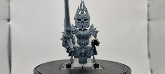 Building toy custom 3D printed wow female frost queen. Printed in 12k high resolution resin!
