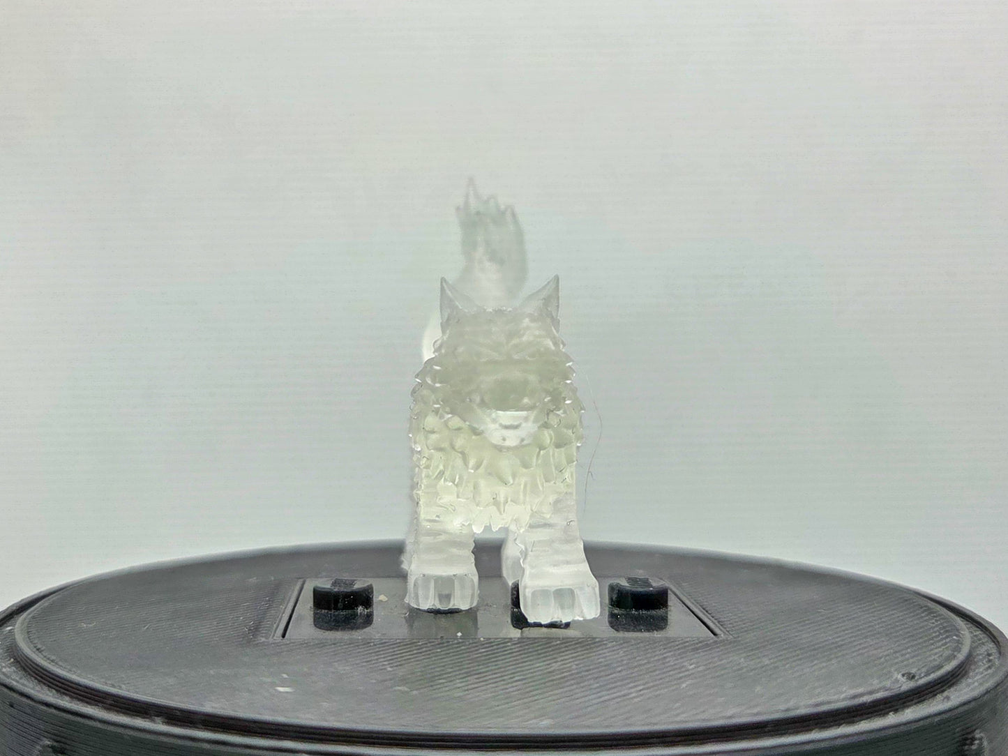 Custom 3D printed number 1 guy with wolves!