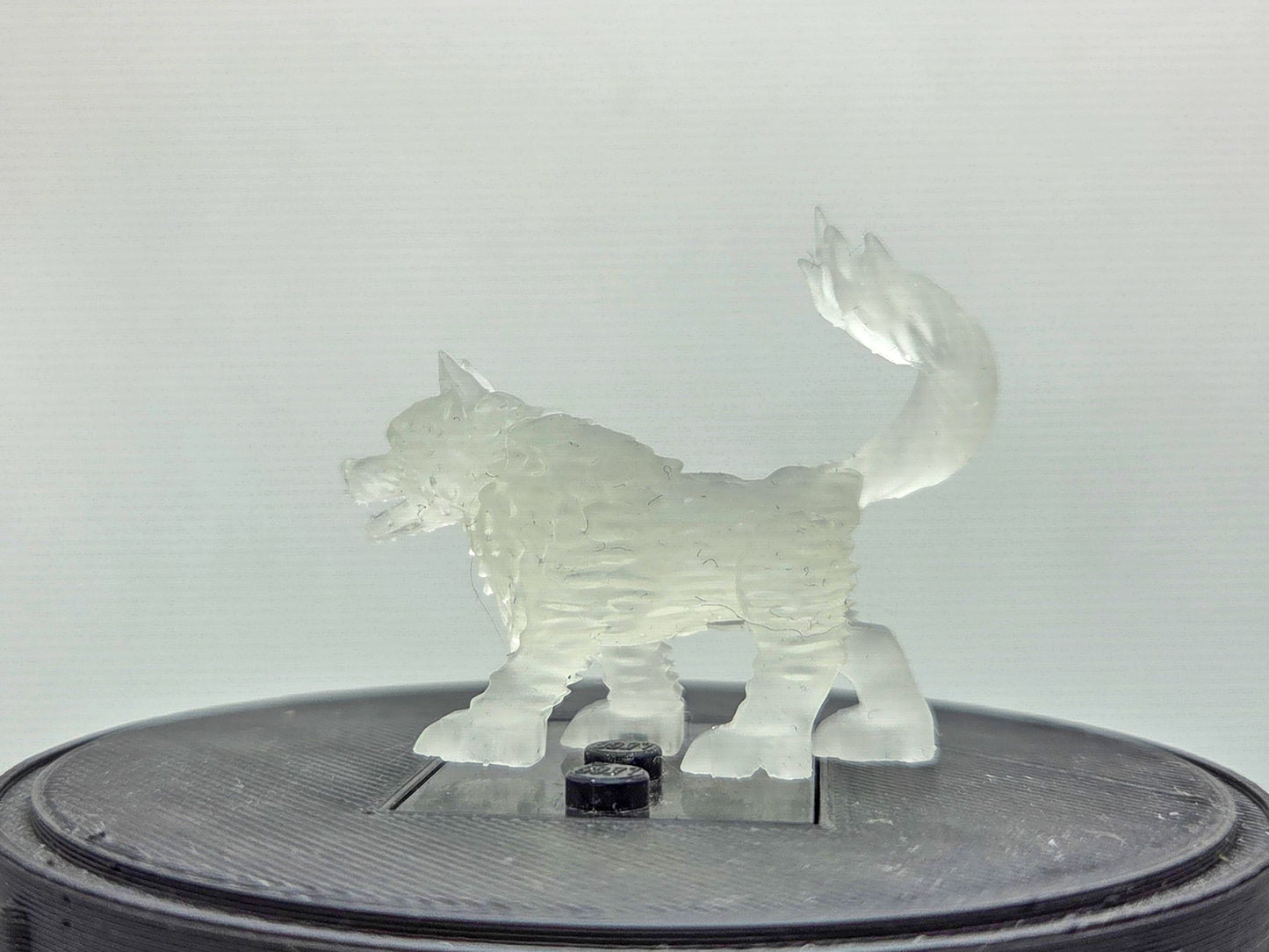 Custom 3D printed number 1 guy with wolves!