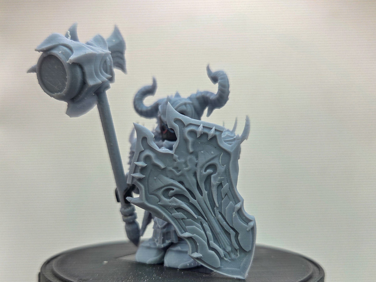 Custom 3D printed the one that shields the necromancer