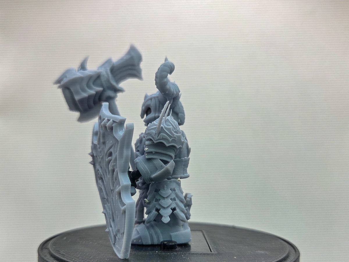 Custom 3D printed the one that shields the necromancer