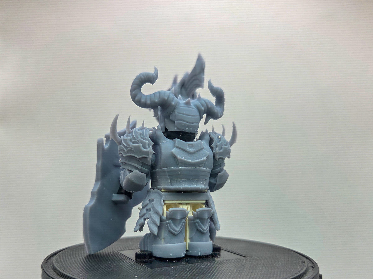 Custom 3D printed the one that shields the necromancer
