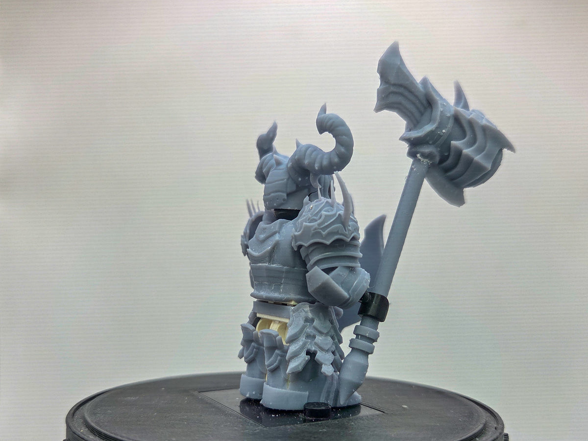 Custom 3D printed the one that shields the necromancer