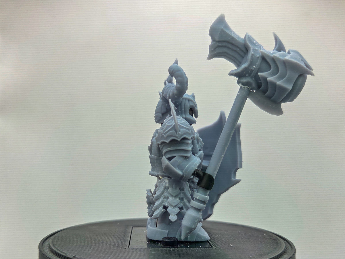 Custom 3D printed the one that shields the necromancer