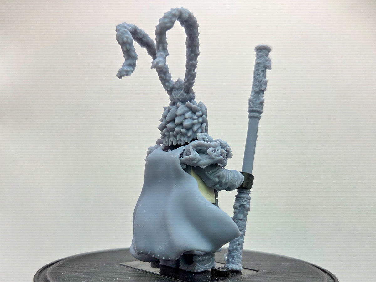 Custom 3D printed monkey king set!