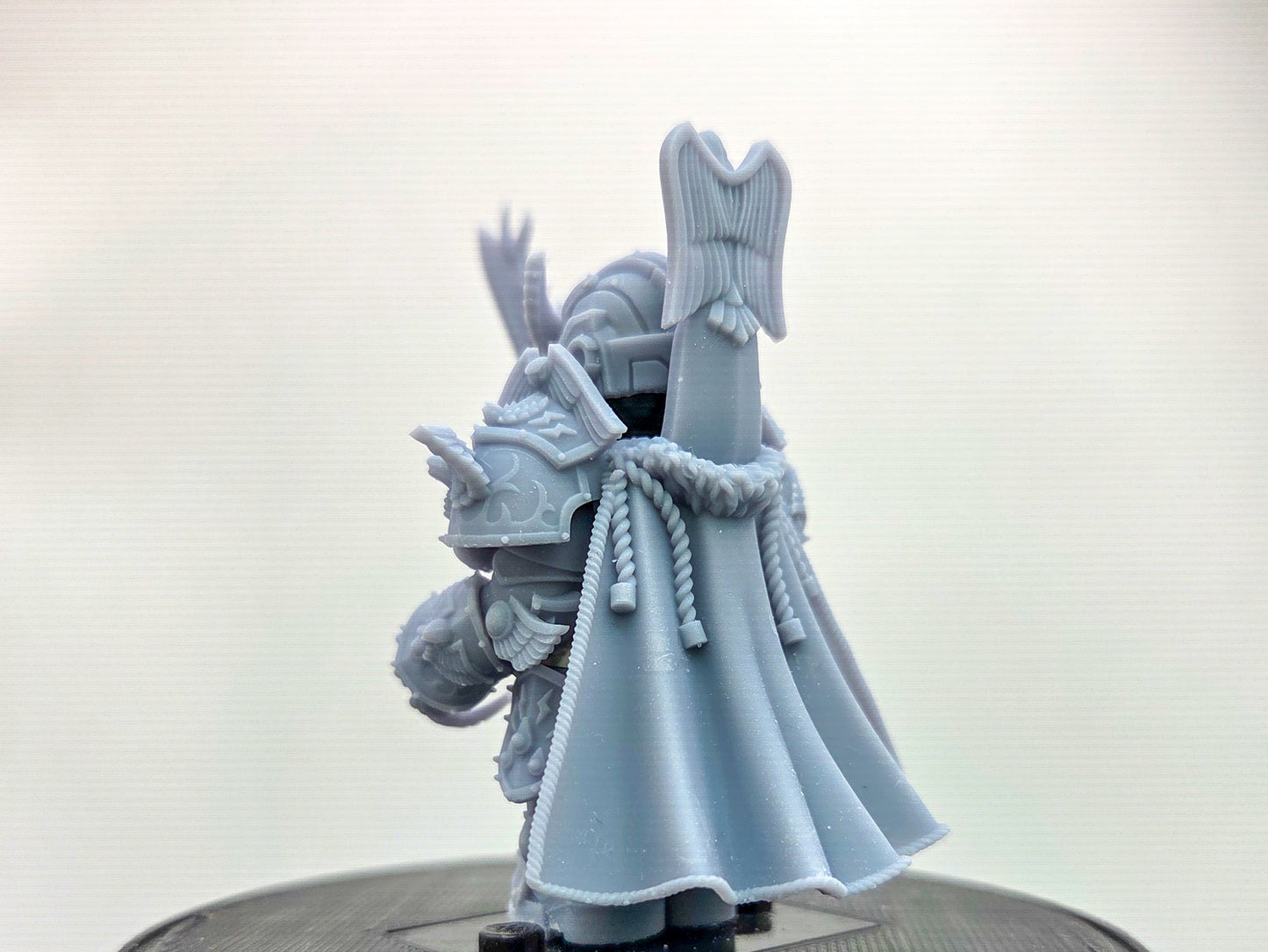 Custom 3D printed king galactic marine king!