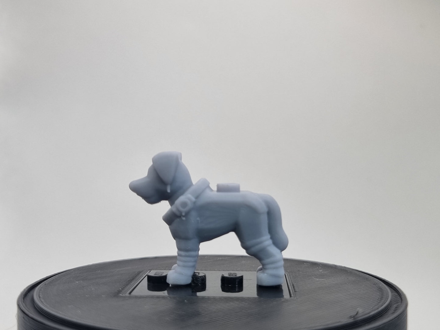 Building toy custom 3D space dog!